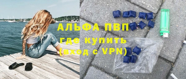 СК Щигры
