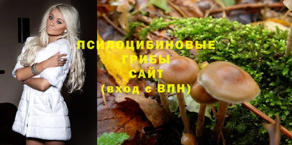 СК Щигры