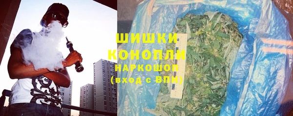 СК Щигры