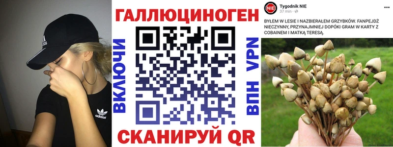 купить   Аргун  Псилоцибиновые грибы ЛСД 