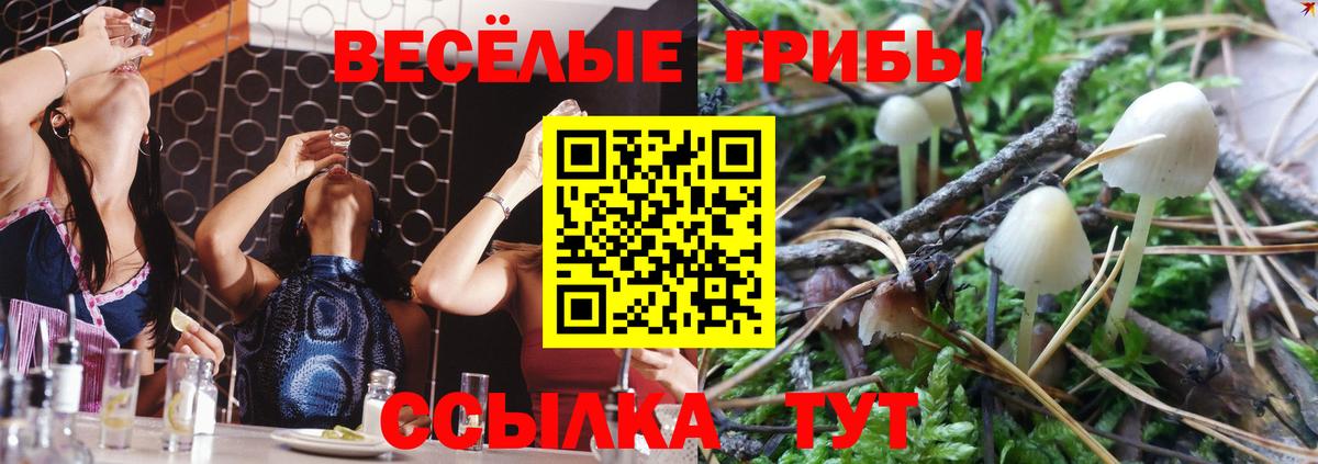 Галлюциногенные грибы мухоморы Аргун