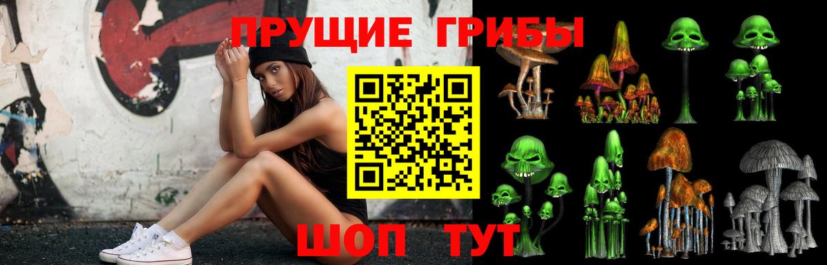 хочу наркоту  Вход с VPN  Аргун  Галлюциногенные грибы прущие грибы 