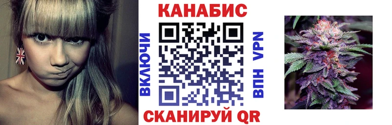 darknet наркотические препараты  Аргун  Шишки марихуана семена 