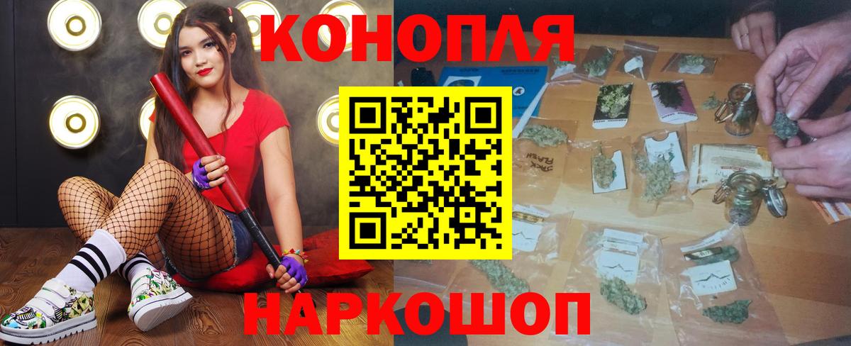 Канабис планчик Аргун